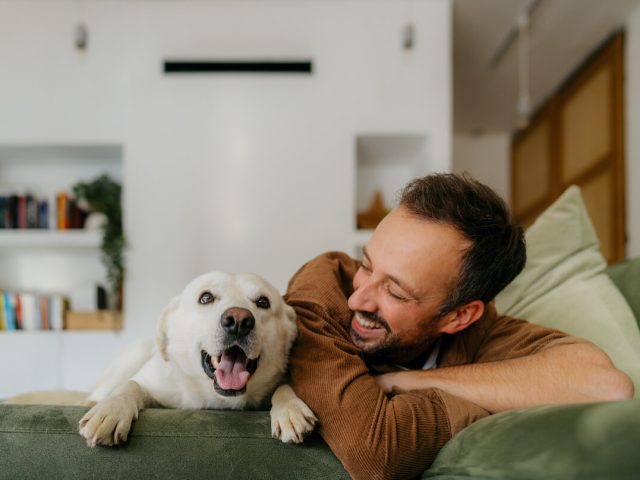 How Chewy Maximizes Reach and Engagement as a National Welcome Wagon Partner